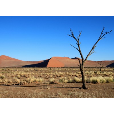 Art. 1896 - Quadro su tela canvas lucida "Dune"