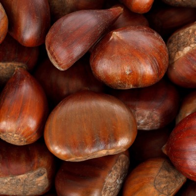 Art. 1907q - Quadro su tela canvas lucida "Castagne"