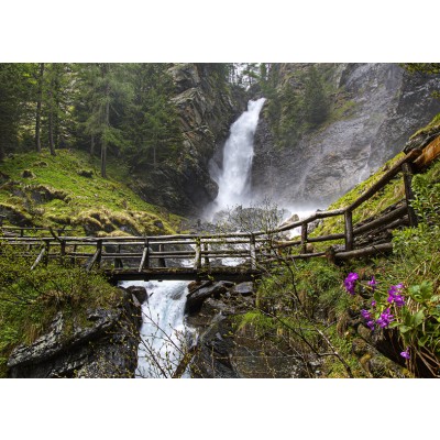 Art. 1910 - Quadro su tela canvas lucida "Cascata Rio Rabbies"
