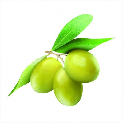 Art. 1960q - Quadro su tela canvas lucida "Olive"
