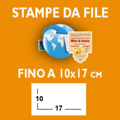 ETICHETTE - Formato fino a 10x17 cm